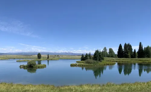One of a kind, rustic cabin with rodeo and private pond on site~7 miles to YNP!