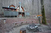 Cabin on Nantahala River! Dog-Friendly