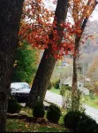 Beautiful Historic Farmhouse Style Cottage min. to Downtown Boone, Watauga River