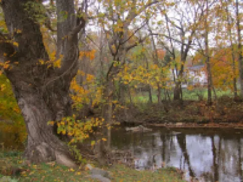 Vacation Cottage Perfect Retreat for Family and Friends