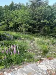 Place of Peace - the Artist's Refuge