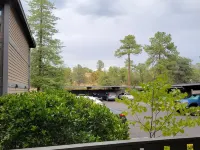Perfect Arizona Mountain Retreat Hotels in Payson