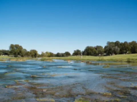 En-Deer-ing Pet Friendly Retreat 🐕 Hoteles en Salado