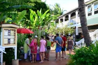 Tropical Rendezvous Suite - Luxury Studio in tropical gardens with koi ponds.