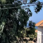 Appartement T2 Presquîle de Giens