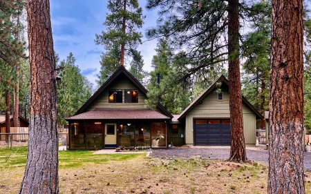 Wooden A-Frame Cabin Nestled in the Tall Pines