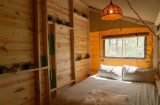 Rapids Luxury Canvas on Deer Lake