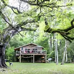 The Confluence Cabin: Free Tubing, Paddle Boarding + Kayaking on the Ichetucknee