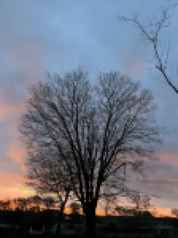 Cozy mountain top newly remodeled home.