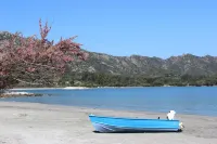 In Furnangina, family villa with sea view, mature garden and swimming pool Hotel a Saint-Florent