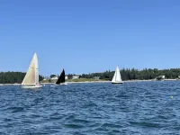 Charming and cozy apartment nestled in the woods.