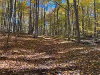 Nature lover's cabin on over 60 acres.