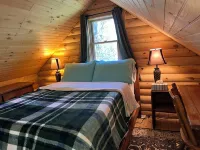 Tiny House / Log Cabin in beautiful wooded urban setting