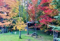 Lakefront Cabin on Lake Adirondack- Tax free