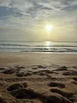 Family Beach Retreat • 100 Steps to Sand