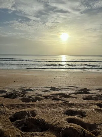 Family Beach Retreat • 100 Steps to Sand Отели рядом с достопримечательностью «Ormond Beach»