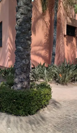 Cozy and quiet apartment