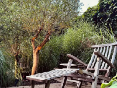 Gästehaus Grüne Oase - Im Zentrum von Minden Hotels in Minden