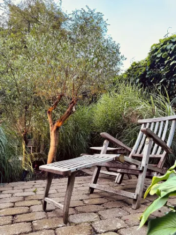 Gästehaus Grüne Oase - Im Zentrum von Minden