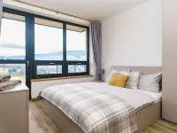 Simba Klínovec Hotels in Bohmisch Wiesenthal