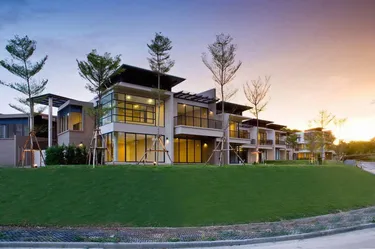 รูปภาพของปาล์มเครสเซนต์