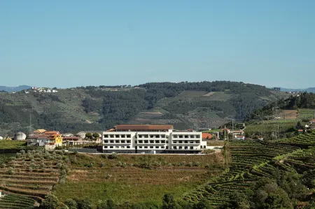 MW Douro Wine & Spa Отели в г. Адофе