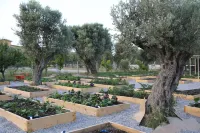 에미르소이 하라시 Seferihisar 호텔