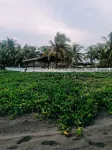 Kilómetro 158 Hawai Monterrico Hotels in Буэна Виста