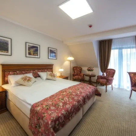 Hotel Paryski Art & Business Zakopane - Basen Jacuzzi Sauna Małpi Gaj