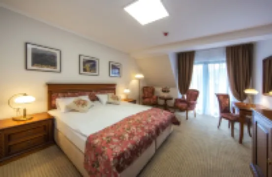 Hotel Paryski Art & Business Zakopane - Basen Jacuzzi Sauna Małpi Gaj