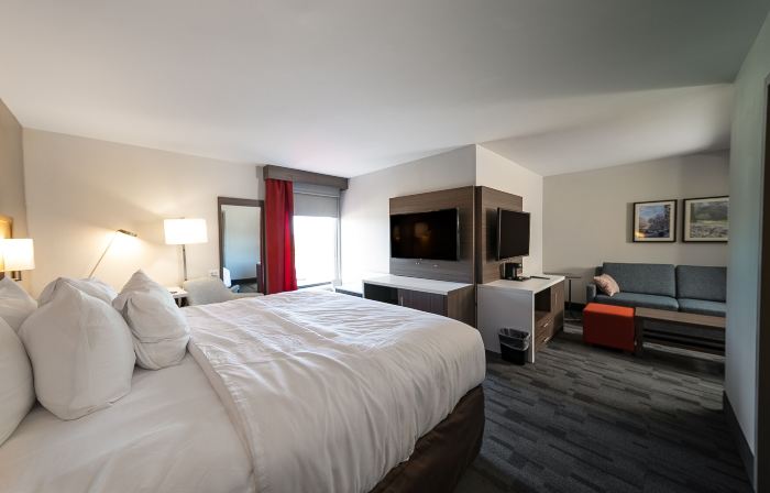 Comfort Inn & Suites Wyomissing-Reading