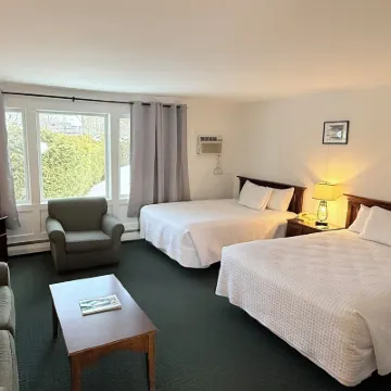 Stowe Motel & Snowdrift Hotels near Bingham Falls