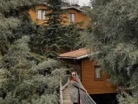 Eraslan Tatilkoyu Hotels in Basiskele