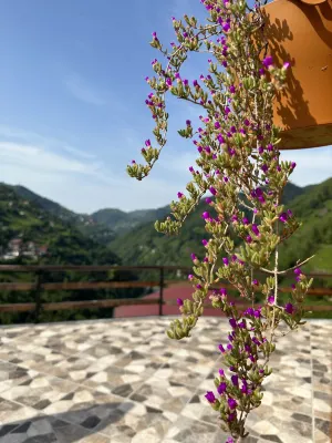 Puleri Suit Bungalow Hotels in Çayırdüzü