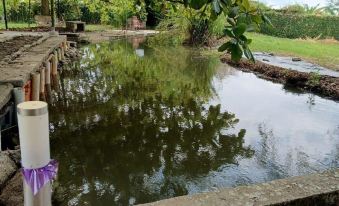 La Guarida