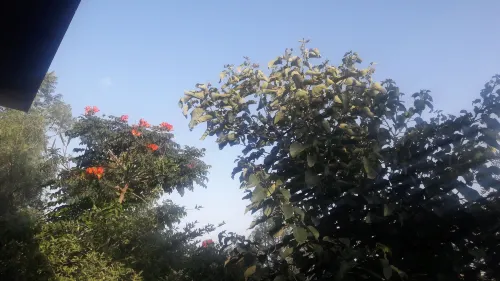 Budget Ethiopia Tours and Homestay Hotels in North Wello