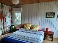 Tywood original wooden house