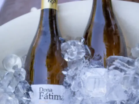 Quinta da Foz Hotels in Caldas da Rainha