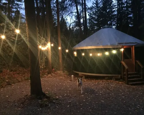 Brand New Yurts in the wilds of MT-Stay @ GNP like no other! 7mi. from W Glacier 코람 호텔