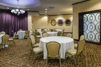 Embassy Suites by Hilton St. Louis Airport - Frühstück