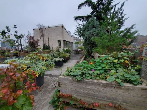 2 story Penthouse with incredible light, 26' ceilings & great outdoor space