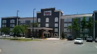 HOM Hotel Gainesville, SureStay Collection by Best Western Các khách sạn ở Alachua County