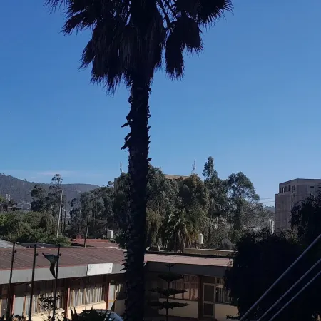 Debredamo Hotel
