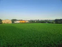 Lavanda House