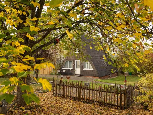 Ferienhaus in Bestwig Mit Privatem Garten