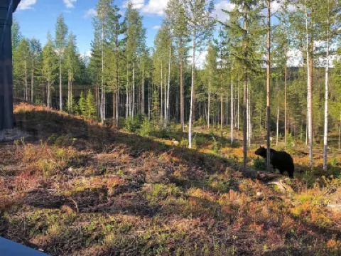 Bear Centre Hotels in 