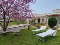 Stella del Sud Guesthouse Hotels in Patu