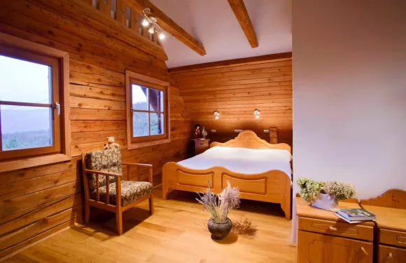 帶泳池的Podgorje木屋