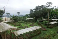 Jardin de los Suenos Các khách sạn ở 