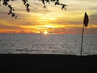 Lotus Desaru Beach Resort & Spa - Beach